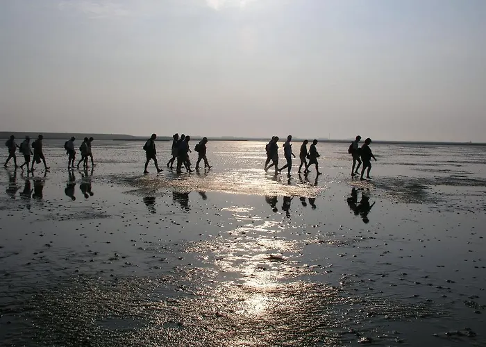 Hotel & Restaurant Ulmenhof 3*